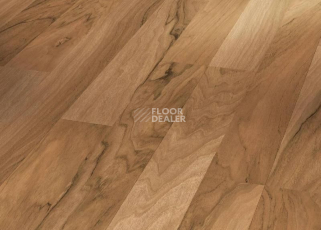 Ламинат Parador Basic Plus 200 1426416 Грецкий Орех фото 1 | FLOORDEALER